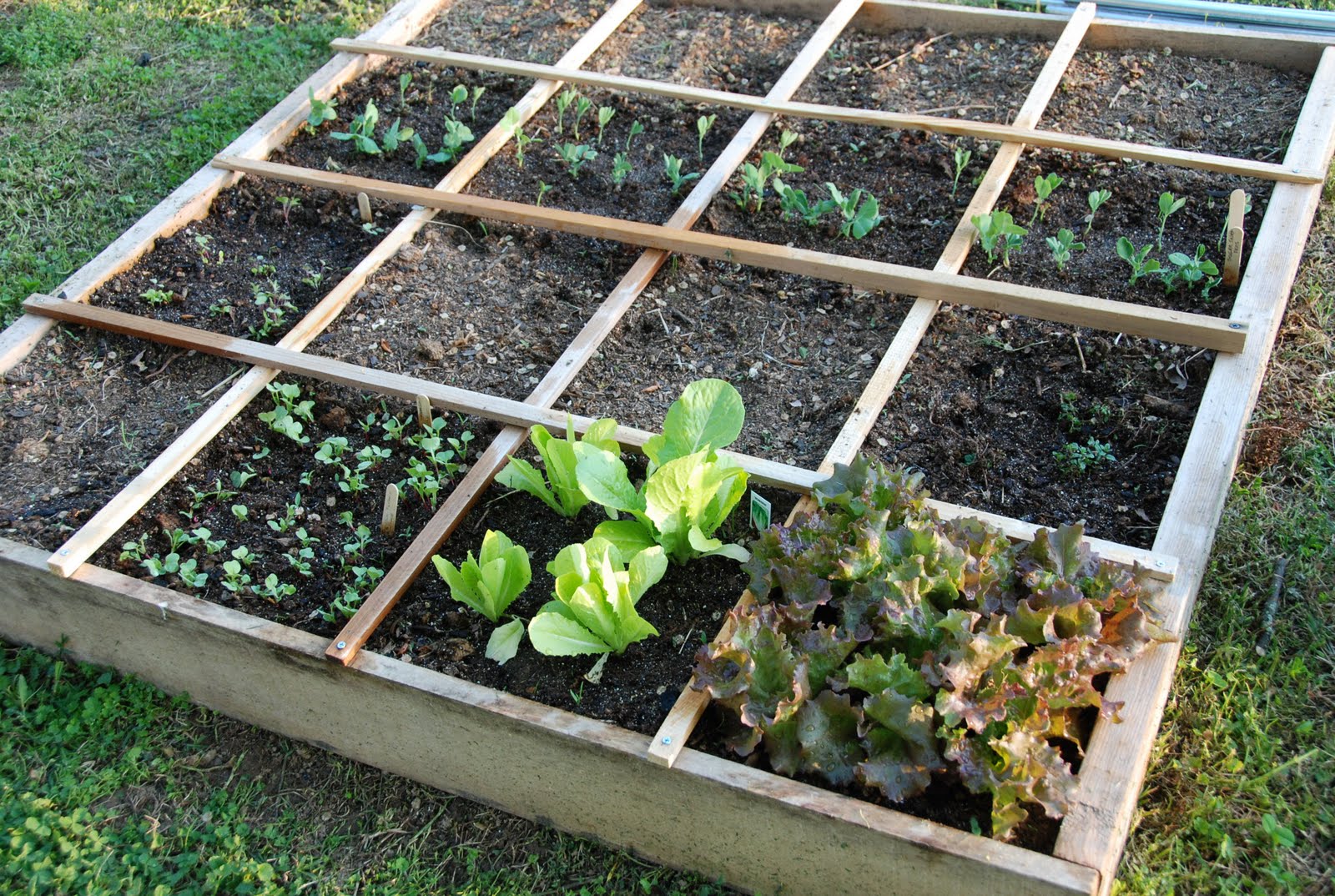 jardin ou potager en carré