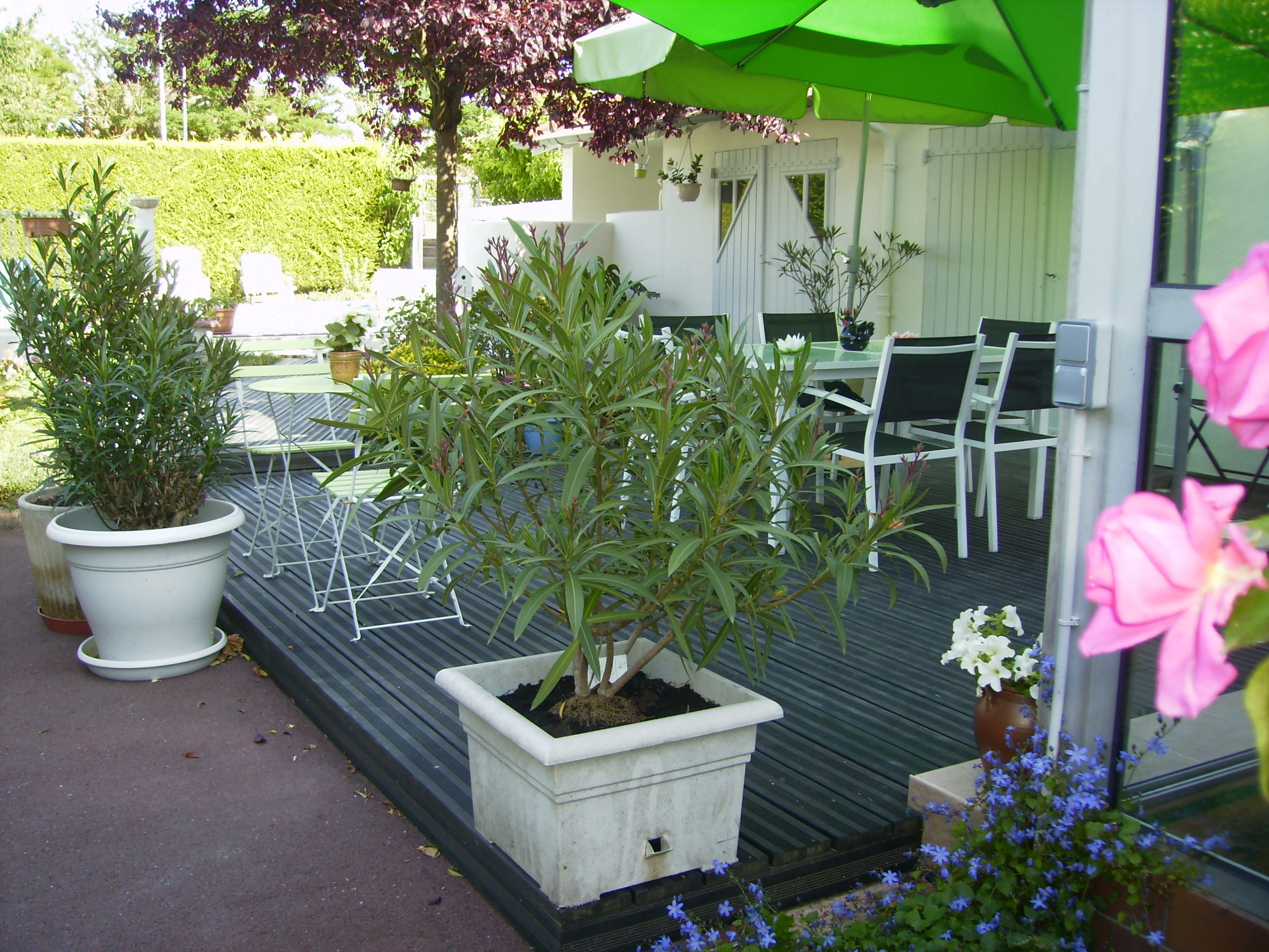 Terrasse en Pin Radiata