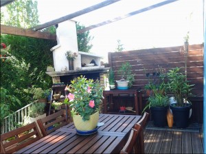 Terrasse en pin marron