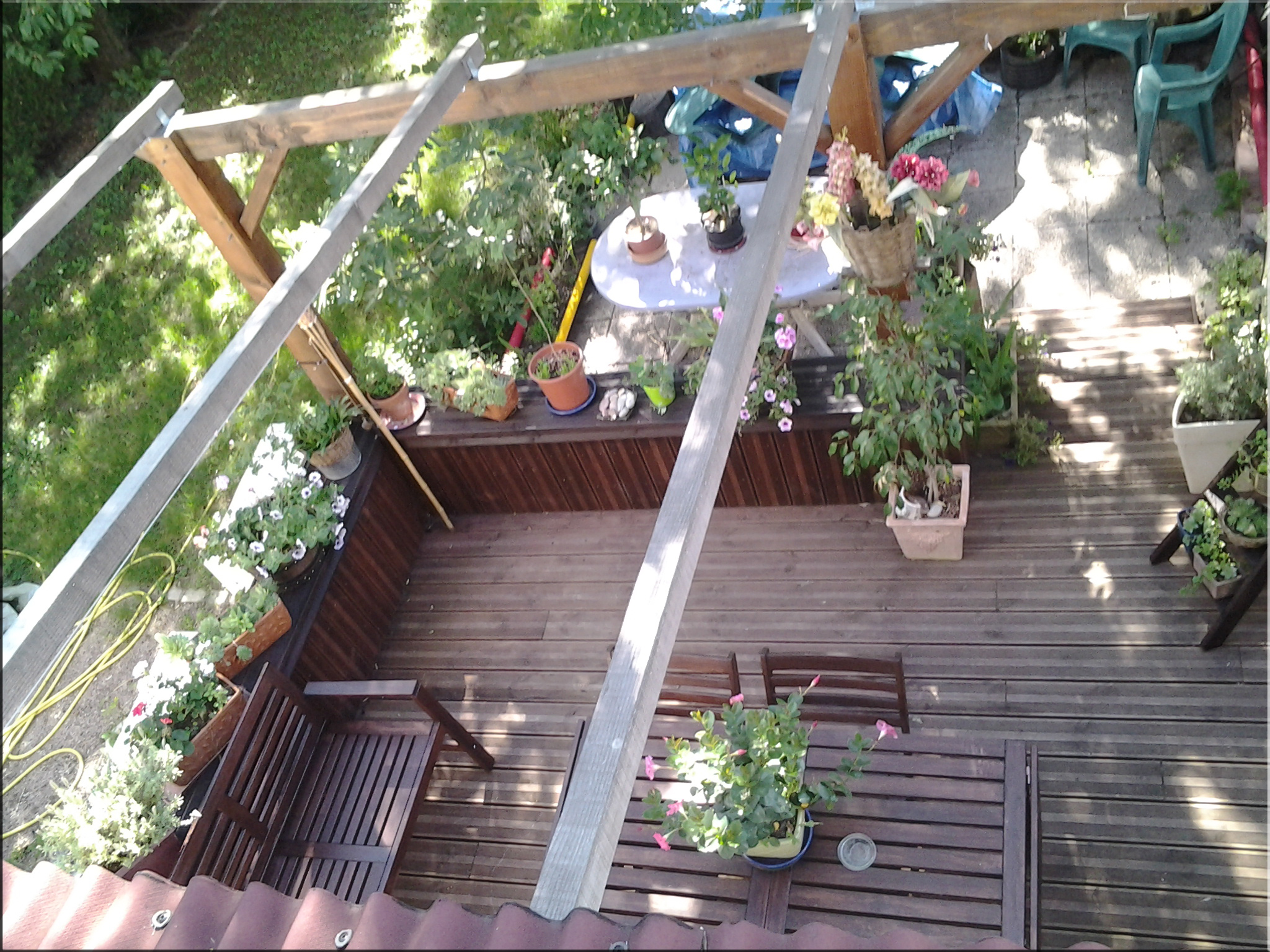 Terrasse en pin marron