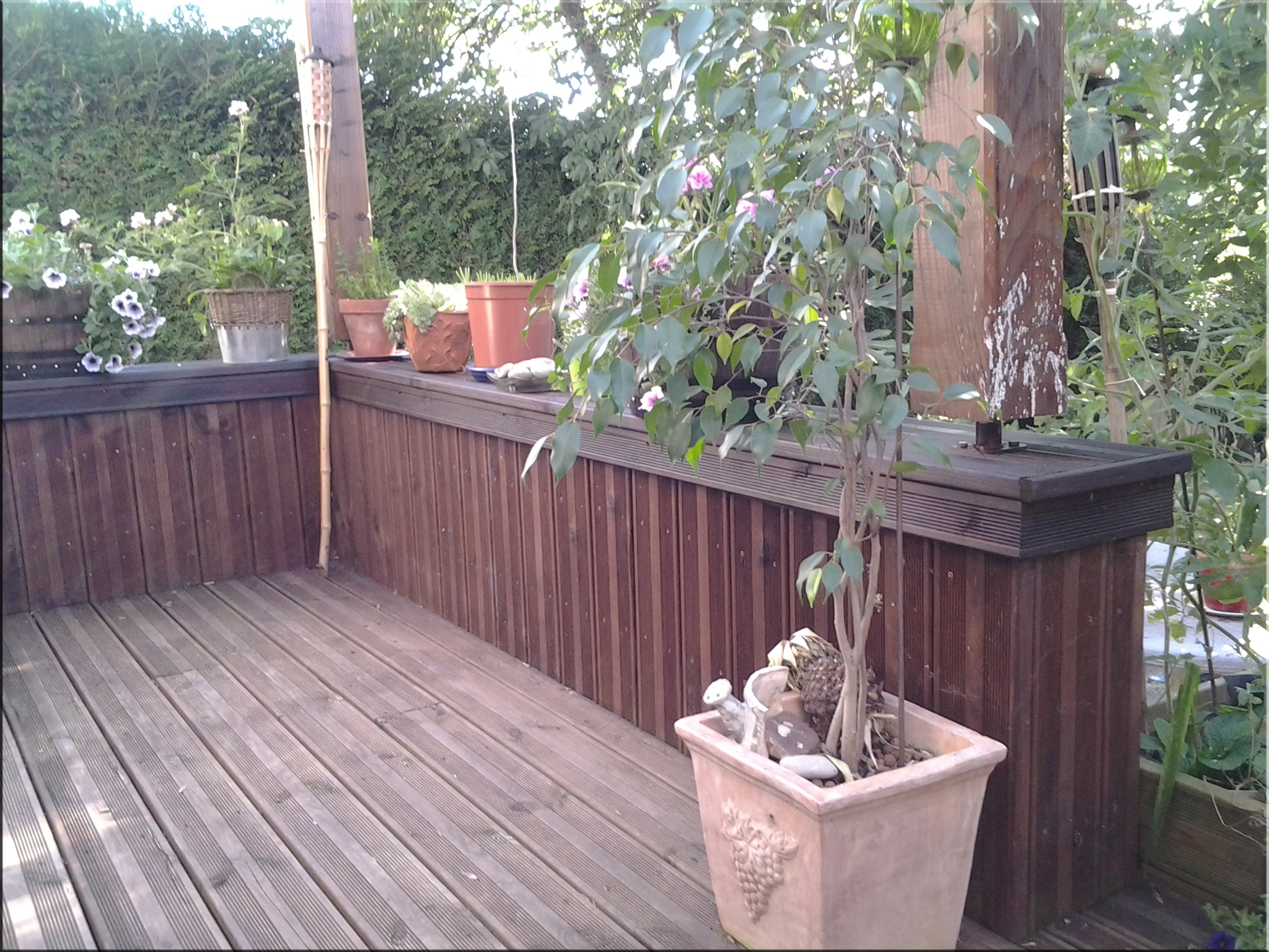Terrasse en pin marron