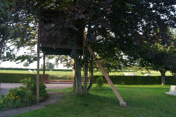 cabane dans les arbres