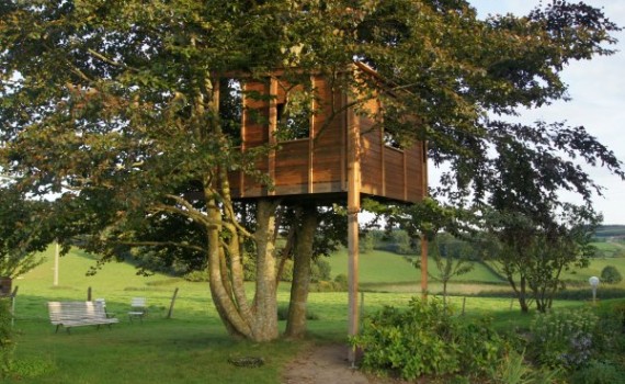 cabane dans les arbres