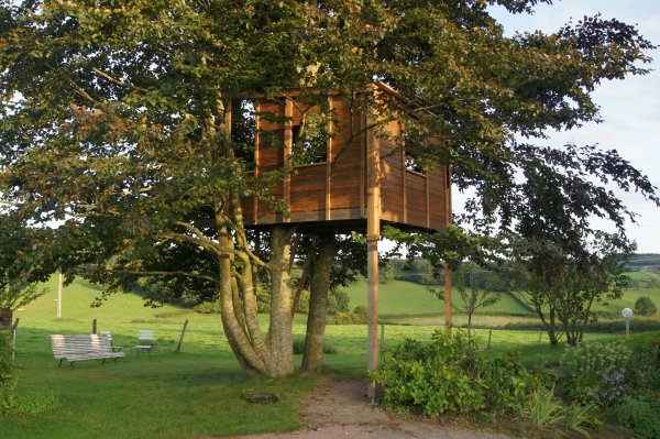 cabane dans les arbres