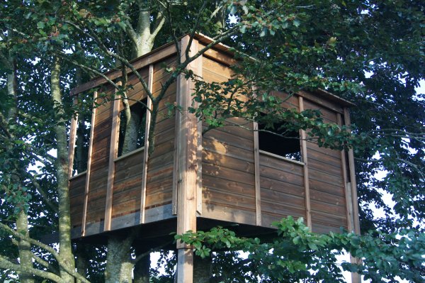 cabane dans les arbres