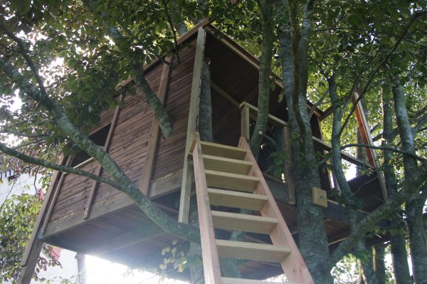 cabane dans les arbres
