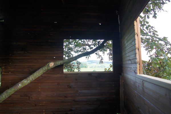 cabane dans les arbres
