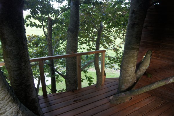 cabane dans les arbres
