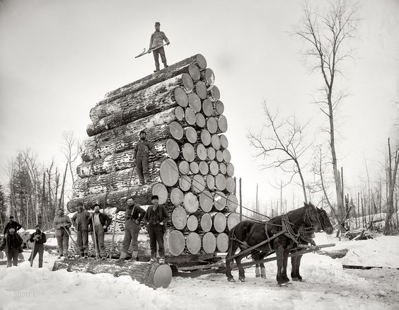 Retour dans le passé des métiers du bois