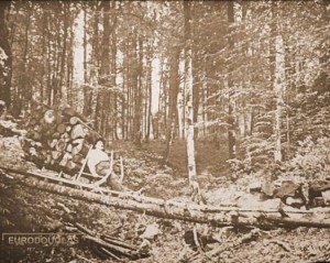 Retour dans le passé des métiers du bois