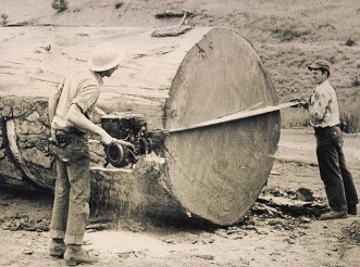 Retour dans le passé des métiers du bois