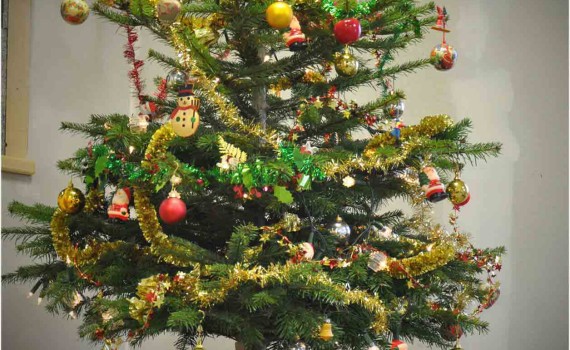 Sapin de Noël d'Eurodouglas en 2013