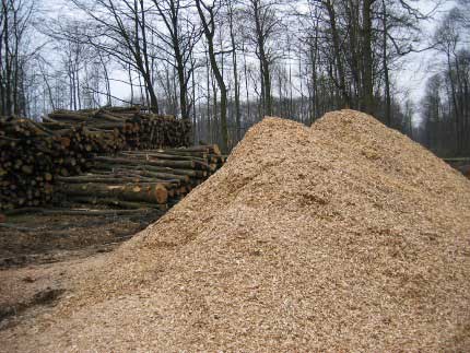 Tas de plaquettes forestières
