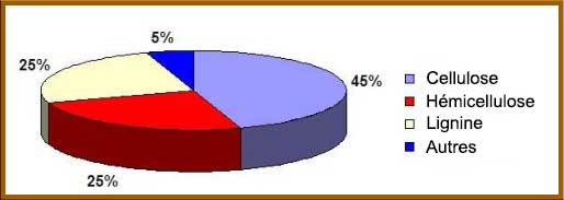 Diagramme criculaire sur le pourcentage de chaques éléments dans le bois : Lignine et Hémicellulose : 25% chacuns, 45% pour la cellulose.